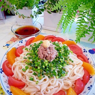 カラフルな冷やしうどん♪